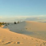 Trải nghiệm cồn cát Quang Phú thiên đường đẹp mê hồn